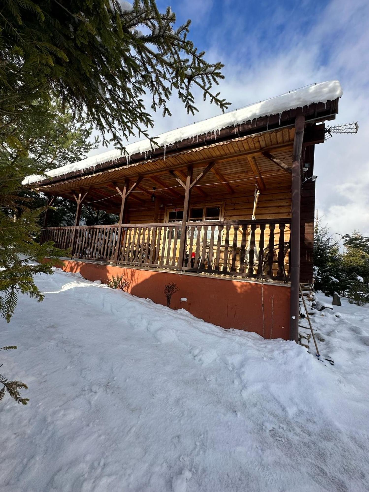 Urocza Chata Z Sauna W Bieszczadzkim Parku Krajobrazowym Bukowiec  Extérieur photo